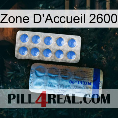 Home Zone 2600 40